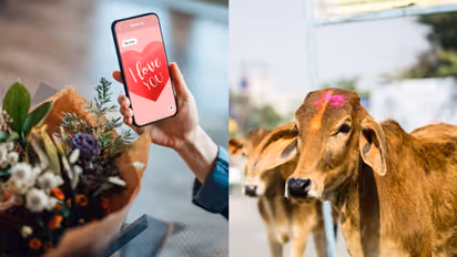 valentines day 2023: ఫిబ్రవరి 14న వాలెంటైన్స్ డేకు బదులు ‘గోమాత ఆలింగన దినోత్సవం’.. కేంద్రం ప్రకటన ఇదే