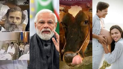 കൂട്ടിയതൊന്നും കുറയില്ല, ജനം പെടും; രാഹുല് മോദി പോര്, പശുവും പ്രണയ ദിനവും, റിപ്പോയും കൂട്ടി- 10 വാര്ത്തകള്