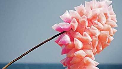 പഞ്ഞിമിഠായിയില് കാന്സറിന് കാരണമായ റോഡമിന്, കൊല്ലത്തെ നിർമ്മാണ കേന്ദ്രം അടച്ചുപൂട്ടി