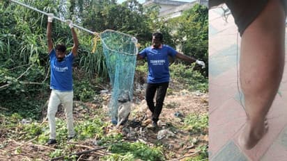 വസ്ത്രം കടിച്ചു കീറി, ഓടിച്ചിട്ട് കടിച്ചു; ആലപ്പുഴയില് തെരുവ് നായയുടെ ആക്രമണം, നാല് പേർക്ക് പരിക്ക്