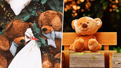Teddy Day 2023: Adorable ways to share feelings for the couples