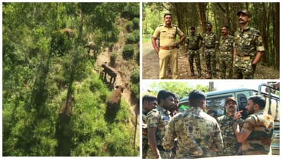 பொதுமக்களின் எதிர்ப்பால் மேட்டுப்பாளையத்திற்கு திருப்பி அனுப்பப்பட்ட மக்னா யானை