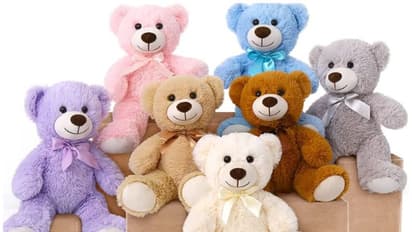 Happy Teddy Day 2023: నేడు టెడ్డీ డే... మీ ప్రేయసికి టెడ్డీబేర్ ఇచ్చి సర్ప్రైజ్ చేయండి ఇలా!