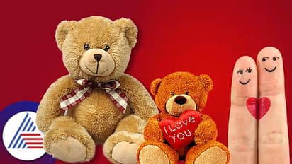 Teddy Day: ಉಡುಗೊರೆಯಾಗಿ ಸಿಕ್ಕ ಟೆಡ್ಡಿಯಲ್ಲಡಗಿದೆ ಸಂಗಾತಿ ಪ್ರೀತಿ