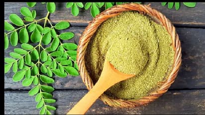 ஆரோக்கியத்திற்கு அருமருந்து முருங்கை கீரை பொடி !