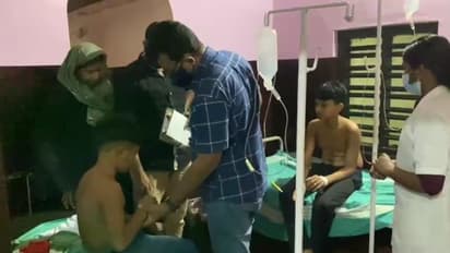 കാളികാവില്‍ വീണ്ടും  തേനീച്ചകളുടെ ആക്രമണം; മദ്രസ വിദ്യാര്‍ത്ഥികളടക്കം അഞ്ചുപേര്‍ക്ക് കുത്തേറ്റു