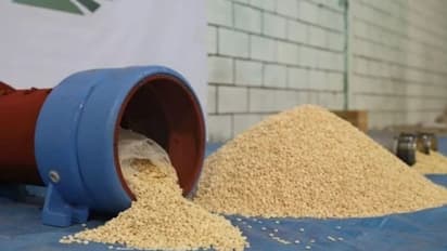 അരലക്ഷത്തിലധികം ലഹരി ഗുളികകൾ കൈവശം വെച്ച നാലുപേർ അറസ്റ്റിൽ