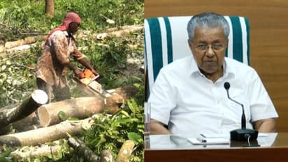 വൻകിട തോട്ടം ഉടമകൾക്കുള്ള ഇളവ്: സംസ്ഥാന സർക്കാരിന് നഷ്ടമായത് കോടികൾ