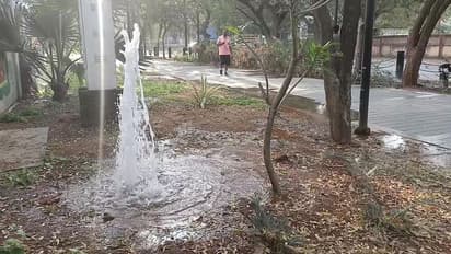 கோவை ரேஸ்கோர்ஸ் பகுதியில் பல்வேறு இடங்களில் குடிநீர் குழாய்களில் உடைப்பு