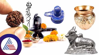Mahashivratri : ಮಹಾಶಿವರಾತ್ರಿ ದಿನ ತಪ್ಪದೆ ಈ ವಸ್ತುವನ್ನು ಮನೆಗೆ ತನ್ನಿ