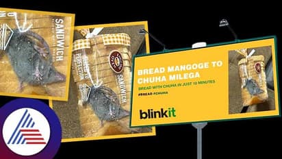 ಆನ್ಲೈನ್ನಲ್ಲಿ ಆರ್ಡರ್ ಮಾಡಿದ ಬ್ರೆಡ್ ಪ್ಯಾಕೆಟ್ನೊಳಗಿತ್ತು ಜೀವಂತ ಇಲಿ!