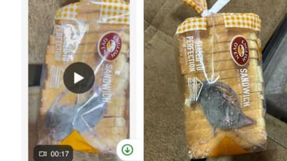 ഓൺലൈനായി ഓർഡർ ചെയ്ത ബ്രെഡ് പാക്കറ്റിനുള്ളിൽ ജീവനുള്ള എലി, എക്കാലത്തെയും മോശം അനുഭവമെന്ന് ഉപഭോക്താവ്