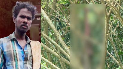 വിശ്വനാഥന്റെ ഷര്‍ട്ട് കണ്ടെത്തി, പോക്കറ്റിൽ ഉണ്ടായിരുന്നത് ചില്ലറ പൈസയും ഒരു കെട്ട് ബീഡിയും