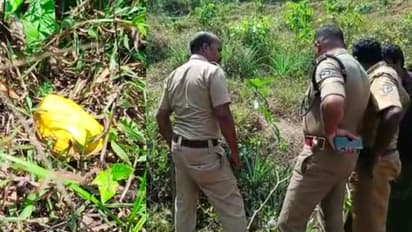 തൊഴിലുറപ്പ് ജോലികൾക്കിടെ മഞ്ഞ നിറത്തില്‍ ഒരു വസ്തു കണ്ടെത്തി, പരിശോധിച്ചപ്പോള്‍‌ നാടന്‍ ബോംബ്