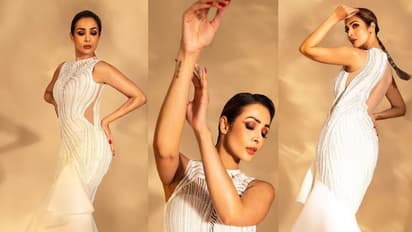 Malaika Arora: పలుచని గౌనులో పరువాలన్నీ చూపిస్తూ... మలైకా అందాలు చూశాక అందరి డౌట్ అదే!