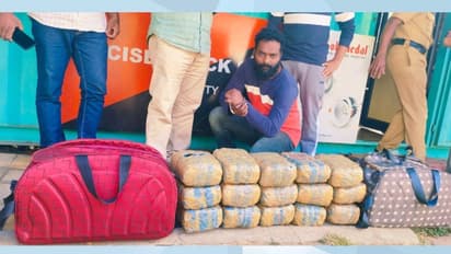 കെഎസ്ആര്‍ടിസി ബസില്‍ കഞ്ചാവ് കടത്ത്; 15 പായ്ക്കറ്റുകളിലായി 30 കിലോ, വൻ ലഹരിമാഫിയ സംഘത്തിലെ കണ്ണി പിടിയില്‍