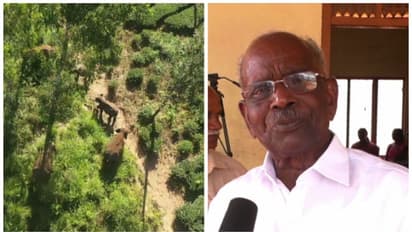 'കാട്ടാനയെ ഉണ്ടാക്കിയത് പിണറായി വിജയനല്ല',ആനയെ പിടിക്കാന് വി.ഡി.സതീശനെ ഏല്പിക്കാം- എം.എം.മണി