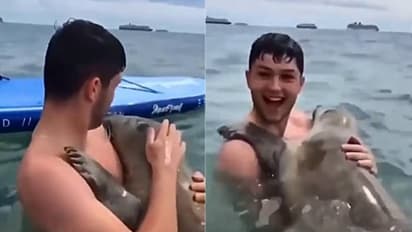 അപ്രതീക്ഷിതമായി സീലിന്റെ കെട്ടിപ്പിടിക്കൽ, നീന്തുന്നതിനിടെ യുവാവിന് സർപ്രൈസ്, വൈറലായി വീഡിയോ