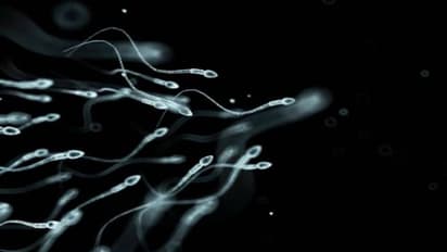 Health Tips : ബീജത്തിന്‍റെ ആരോഗ്യം മെച്ചപ്പെടുത്താം; പുരുഷന്മാര്‍ ഭക്ഷണത്തില്‍ ശ്രദ്ധിക്കേണ്ട കാര്യങ്ങള്‍