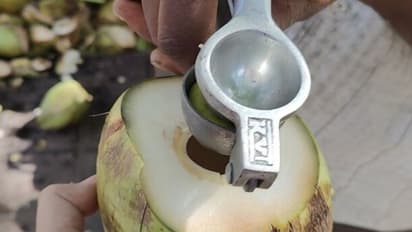 ഇളനീരും ചെറുനാരങ്ങയും മിക്സ് ചെയ്ത് കഴിച്ചിട്ടുണ്ടോ? സംഗതി ട്രെൻഡാണിപ്പോള്...