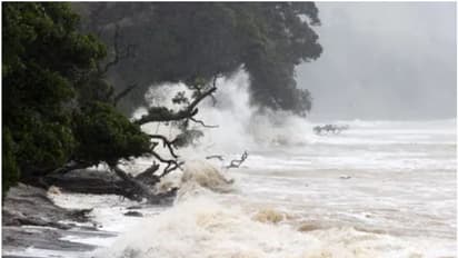 ചുഴലിക്കാറ്റ് നാശം വിതക്കുന്നു, 5 ഇടങ്ങളിൽ അടിയന്തരാവസ്ഥ, അരലക്ഷം പേർക്ക് വീട് നഷ്ടമായി; രക്ഷ തേടി ന്യൂസിലാൻഡ്