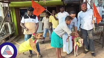 ಪ್ರೇಮಿಗಳ ದಿನದ ಆಚರಣೆಗೆ ವಿರೋಧ, ನಾಯಿಗಳಿಗೆ ಮದುವೆ ಮಾಡಿಸಿದ ಹಿಂದೂ ಸಂಘಟನೆ