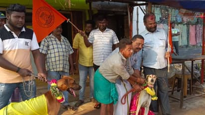 காதலர் தினத்திற்கு எதிர்ப்பு.. நாய்களுக்கு திருமணம் செய்துவைத்த இந்து முன்னணி அமைப்பினர்..!