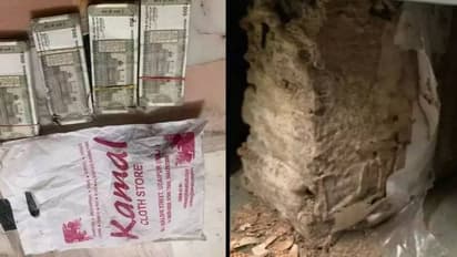 സുരക്ഷിതമായിരിക്കാൻ ലോക്കറിൽ വച്ചു, രണ്ട് ലക്ഷത്തിൽ കൂടുതൽ ബാങ്കിൽ നിന്നും ചിതൽ തിന്നു