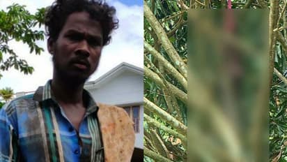 വിശ്വനാഥന്റെ മരണം: ഡിജിപിയോടും കളക്ടറോടും കമ്മീഷണറോടും റിപ്പോർട്ട് തേടി ദേശീയ പട്ടികവർഗ കമ്മീഷൻ