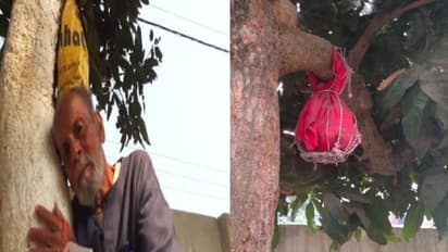 ഭാര്യ മരിച്ച് 32 വർഷം ചിതാഭസ്മം സൂക്ഷിച്ചു, വൃദ്ധൻ മരിച്ചപ്പോൾ ഒരുമിച്ച് ചേർത്ത് മാവിൽ വച്ച് വീട്ടുകാർ