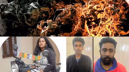 ടൂറിസം കേന്ദ്രത്തിൽ മയക്കുമരുന്ന് കൂണും കഞ്ചാവും, മലയാളിയടക്കം മൂന്നുപേർ പിടിയിൽ