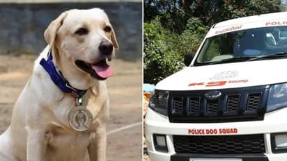 ആഡംബര ജീവിതത്തിന് പണം വേണം, കട കുത്തിത്തുറന്ന് മോഷണം; സിസിടിവി കുടുക്കി, പിന്നാലെ പൊലീസ് നായ വീട്ടിലെത്തി