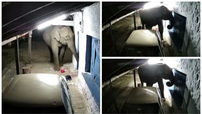 മൂന്നാർ ചൊക്കനാട് എസ്റ്റേറ്റിൽ വീണ്ടും കാട്ടാന ആക്രമണം , പലചരക്ക് കട ആക്രമിച്ചത് ഒരാഴ്ചക്കിടെ രണ്ടാം തവണ