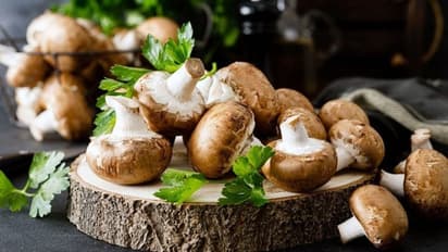 ഉയര്ന്ന രക്തസമ്മര്ദ്ദം നിയന്ത്രിക്കാന് മഷ്റൂം; അറിയാം മറ്റ് ഗുണങ്ങള്...