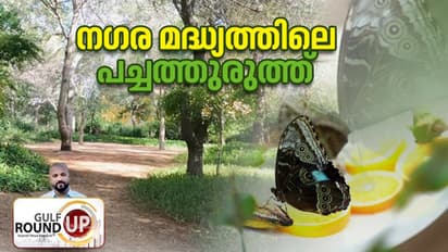 നഗരത്തിരക്കുകളില്ലാതെ അല്പനേരം ശാന്തമായി ചെലവഴിക്കാന് നഗരമദ്ധ്യത്തിലെ പച്ചത്തുരുത്ത്