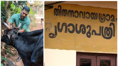 കയ്യേറ്റം ചെയ്തെന്ന് വനിതാ ഡോക്ടർ, മലപ്പുറത്ത് ലൈവ് സ്റ്റോക്ക് ഇന്‍സ്പെക്ടർ അറസ്റ്റിൽ; വ്യാജപരാതിയെന്ന് കുടുബം