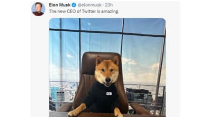 പുതിയ ട്വിറ്റര് സിഇഒ കസേരയില് 'സ്വന്തം പട്ടിയെ' ഇരുത്തി ഇലോണ് മസ്ക്