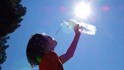 Summer Tips: ಬಿಸಿಲ ಬೇಗೆಯಿಂದ ಬಳಲದೇ ಇರಲಿ ಜೀವ, ಈ ಟಿಪ್ಸ್‌ ಫಾಲೋ ಮಾಡಿ