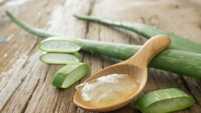 മുടി സൂപ്പറായി വളരാൻ കറ്റാർവാഴ ; ഇങ്ങനെ ഉപയോഗിക്കൂ