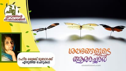 Malayalam Short Story: ശലഭങ്ങളുടെ ആരാച്ചാര്, റഹീമ ശൈഖ് മുബാറക്ക് എഴുതിയ ചെറുകഥ
