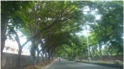 ഭൂമിക്കടിയില് നിന്ന് നിഗൂഢമായ ശബ്ദങ്ങള്, എന്താണെന്ന് അറിയാതെ ഭയപ്പാടില് ജനം, ഭൂചലനമെന്ന് വ്യാജ പ്രചാരണം