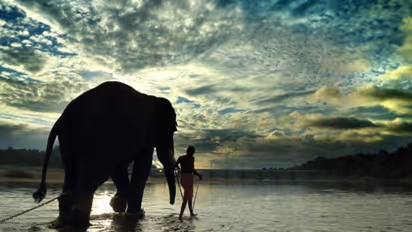 വിനോദ സഞ്ചാരികളുടെ എണ്ണത്തിൽ വൻ കുതിപ്പ്, കേരളത്തിന് കൈ നിറയെ പണം; കിട്ടിയത് 35168 കോടി