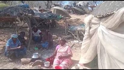 கர்நாடகா வனத்துறை நடத்திய துப்பாக்கி சூட்டில் தமிழக மீனவர் பலி; போக்குவரத்து நிறுத்தம்