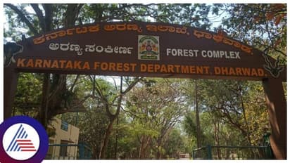 Dharwad: ಅಪಾಯಕಾರಿ ಸ್ಧಿತಿಯಲ್ಲಿರುವ 192 ಮರಗಳ ಹರಾಜು, ಫೆ.19 ರೊಳಗೆ ತಕರಾರು ಸಲ್ಲಿಸಲು ಅವಕಾಶ