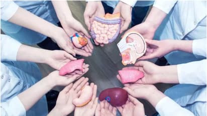  65 വയസ് കഴിഞ്ഞവര്‍ക്കും ഇനി  അവയവം സ്വീകരിക്കാം, പ്രായപരിധി നീക്കി കേന്ദ്ര ആരോഗ്യമന്ത്രാലയം