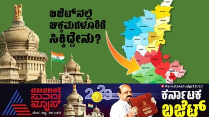 ಮೆಗಾ ಜವಳಿ ಪಾರ್ಕ್, ಹೊಸ ವಿವಿ ಸೇರಿ ಹಲವು ಯೋಜನೆ, ಬಜೆಟ್ ಬಗ್ಗೆ ಚಿಕ್ಕಮಗಳೂರು ಜನರಿಂದ ಮಿಶ್ರ ಪ್ರತಿಕ್ರಿಯೆ