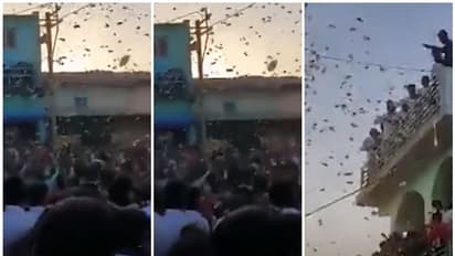 ടെറസിൽനിന്ന് ലക്ഷങ്ങളുടെ നോട്ടുക്കെട്ടുകൾ വാരിയെറിഞ്ഞ് വമ്പൻ കല്യാണ ആഘോഷം; വാരിക്കൂട്ടാൻ തിങ്ങിക്കൂടി ജനം