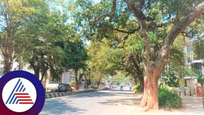 Sankey Road: ಸ್ಯಾಂಕಿ ರಸ್ತೆಯಲ್ಲಿ ಫ್ಲೈಓವರ್ ನಿರ್ಮಾಣಕ್ಕೆ ನಾಗರಿಕರು ತೀವ್ರ ವಿರೋಧ