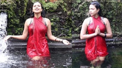 కొలనులో అమలాపాల్ జలకాలాట.. తడి అందాలతో మతిపోగొడుతున్న స్టార్ బ్యూటీ.. ఇప్పుడు ఆమె ఎక్కడున్నారంటే?