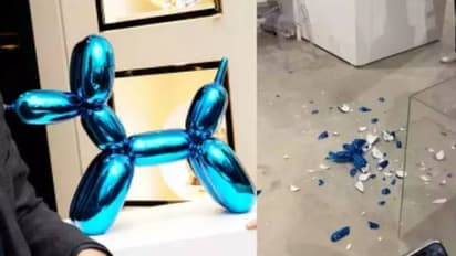 യുവതിയുടെ കൈതട്ടി പൊട്ടിയത് 34 ലക്ഷം രൂപ വിലമതിക്കുന്ന ശിൽപം; പിന്നീട് സംഭവിച്ചത്... 